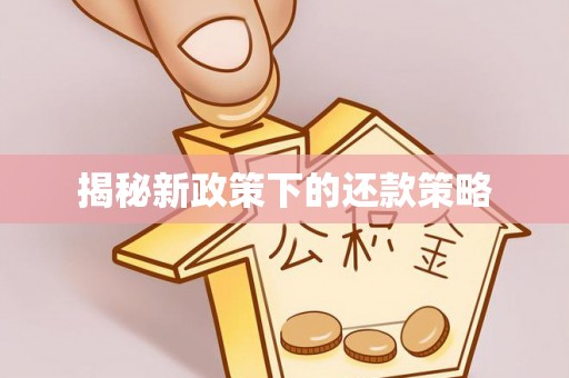 松桃揭秘新政策下的还款策略