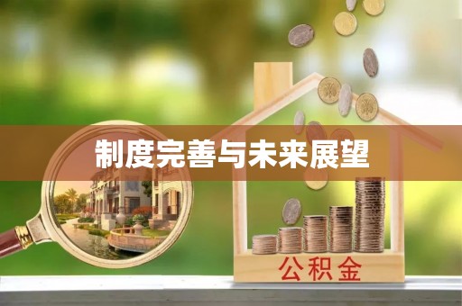 松桃制度完善与未来展望