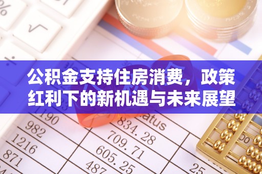 松桃公积金支持住房消费，政策红利下的新机遇与未来展望