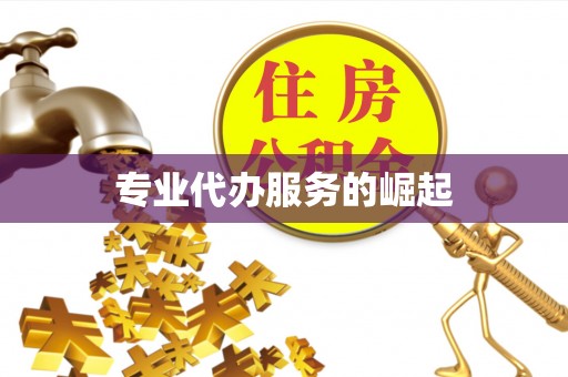 松桃专业代办服务的崛起