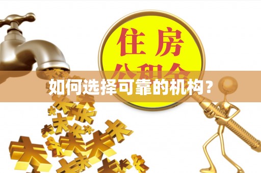 松桃如何选择可靠的机构？