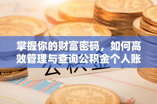松桃掌握你的财富密码，如何高效管理与查询公积金个人账户信息