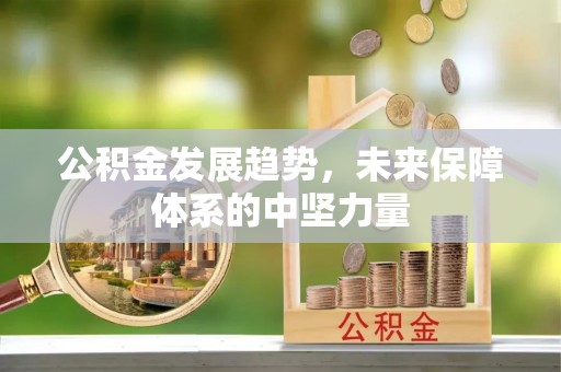 松桃公积金发展趋势，未来保障体系的中坚力量