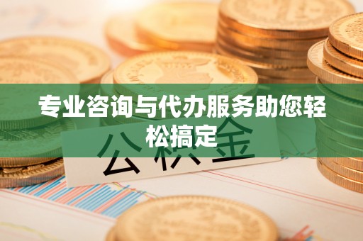 松桃专业咨询与代办服务助您轻松搞定