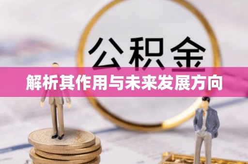 松桃解析其作用与未来发展方向