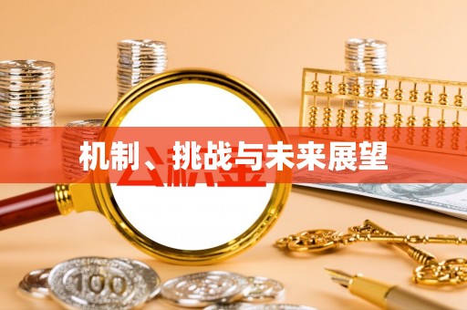 松桃机制、挑战与未来展望
