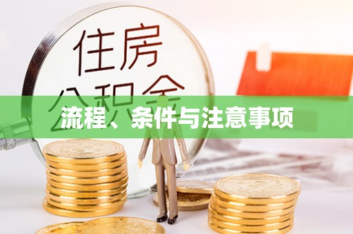 松桃流程、条件与注意事项