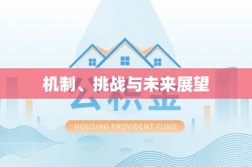 松桃机制、挑战与未来展望